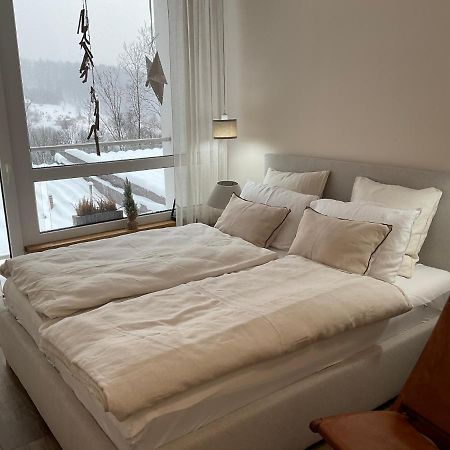 Hearth Hill View Apartment Ustroń Buitenkant foto