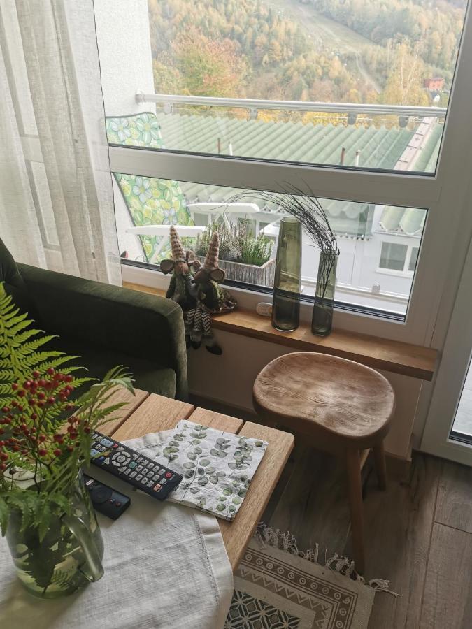 Hearth Hill View Apartment Ustroń Buitenkant foto