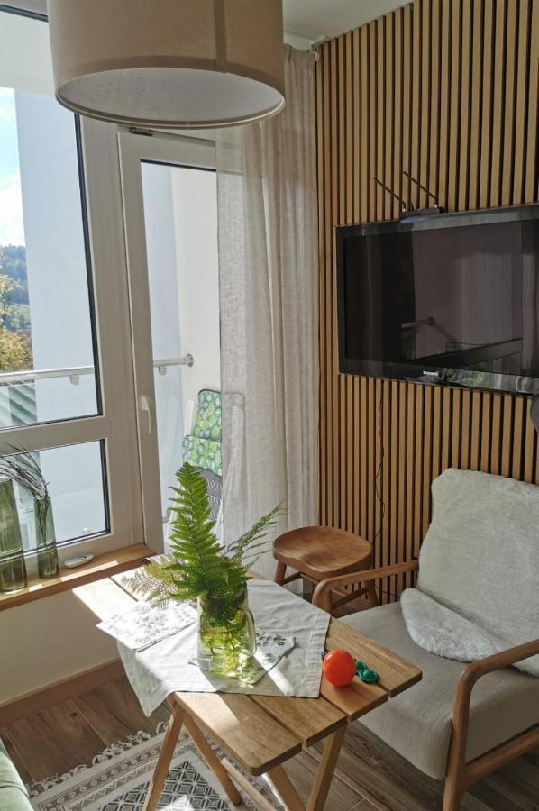 Hearth Hill View Apartment Ustroń Buitenkant foto