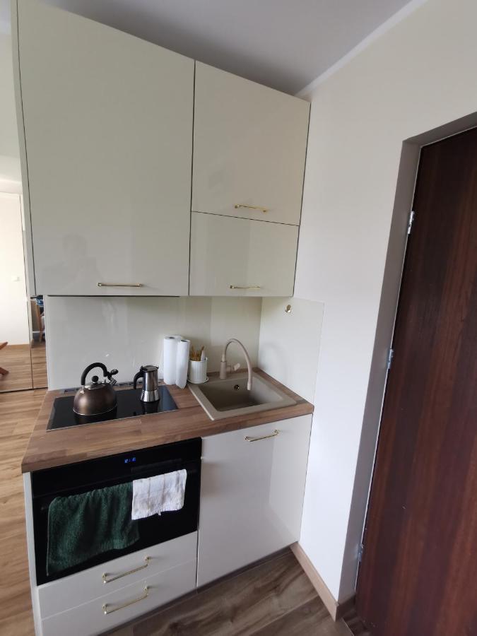 Hearth Hill View Apartment Ustroń Buitenkant foto