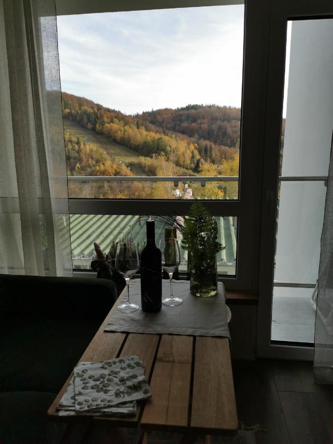 Hearth Hill View Apartment Ustroń Buitenkant foto