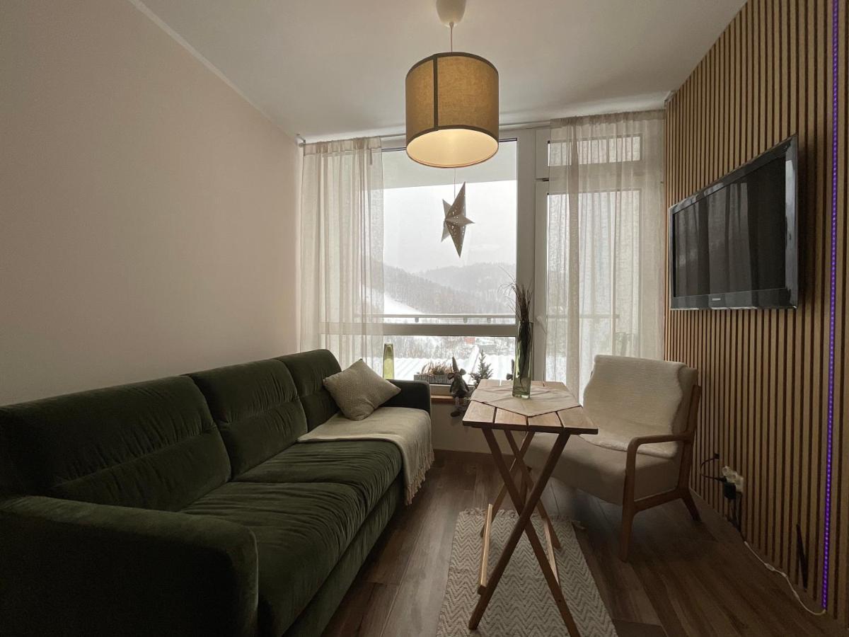 Hearth Hill View Apartment Ustroń Buitenkant foto